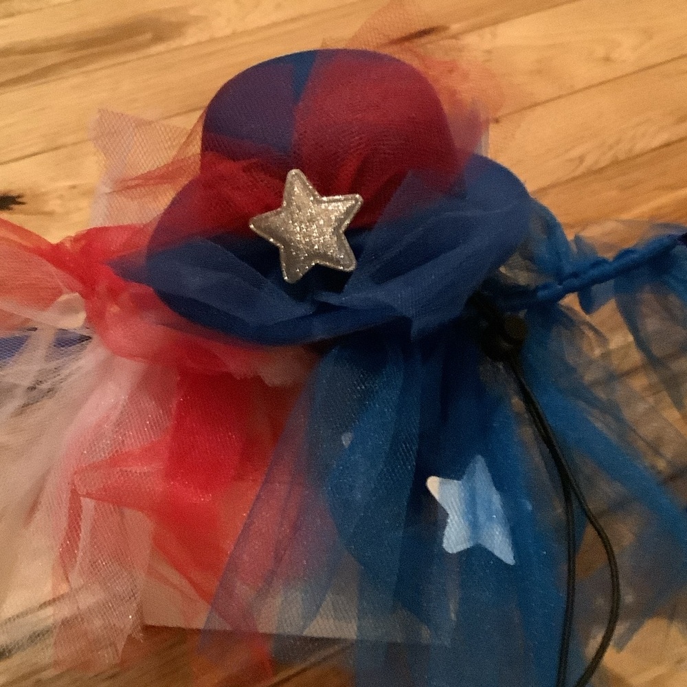 Patriotic Star dog Hat and scarf up to 18 pounds